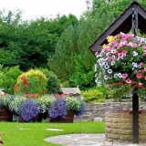 Jaké květiny prasne v dubnu 2022 na sazenice a v otevřené půdě: čas...